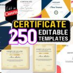 250+ Certificate Template Bundle For Canva