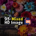 95+ Mixed HD Image Bundle