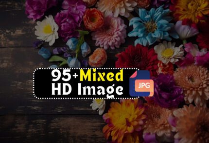 95+ Mixed HD Image Bundle
